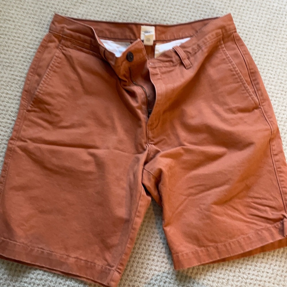 Lands End shorts